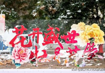 武汉植物园新春牡丹展热闹开幕，本届牡丹展名品荟萃，展示牡丹品种40多种，共计2500株